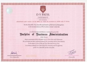 DY Patil Online MBA degree sample