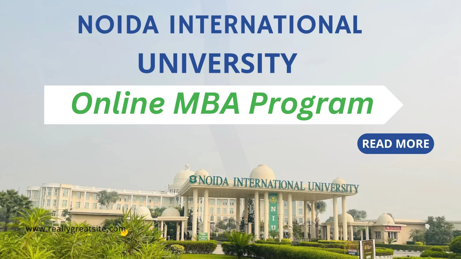 Noida International University Online MBA