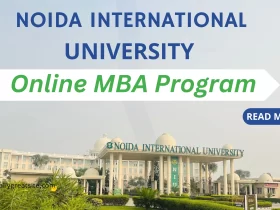 Noida International University Online MBA