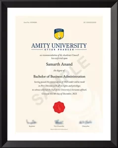 Amity Online BBA Degree Certificate Sample