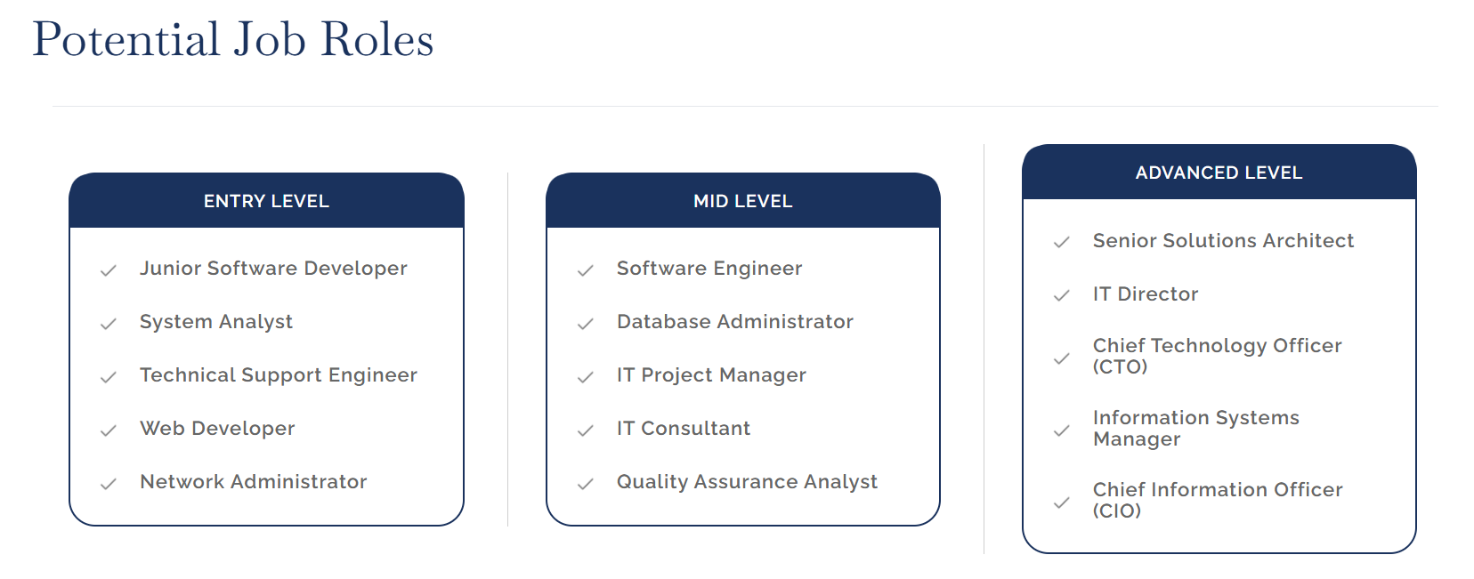 Amity Online BCA Job Roles